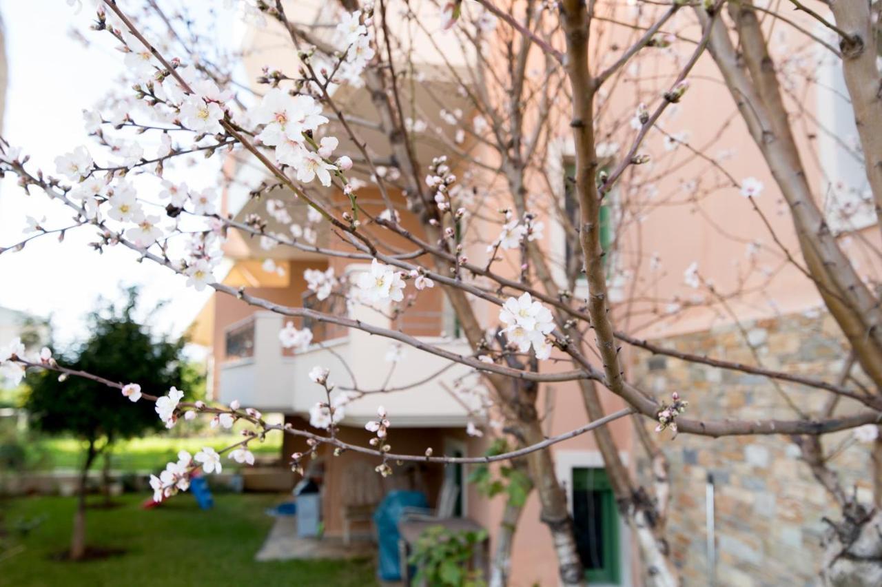 Apanema Apartment